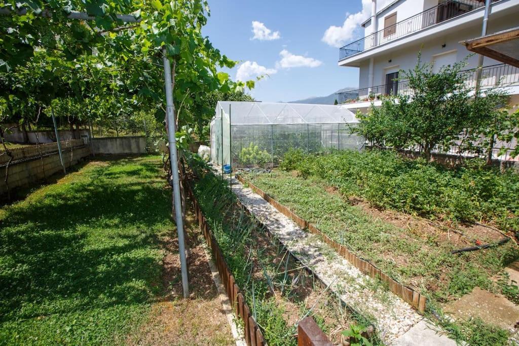 Appartamento Wooden House In Giannina Esterno foto