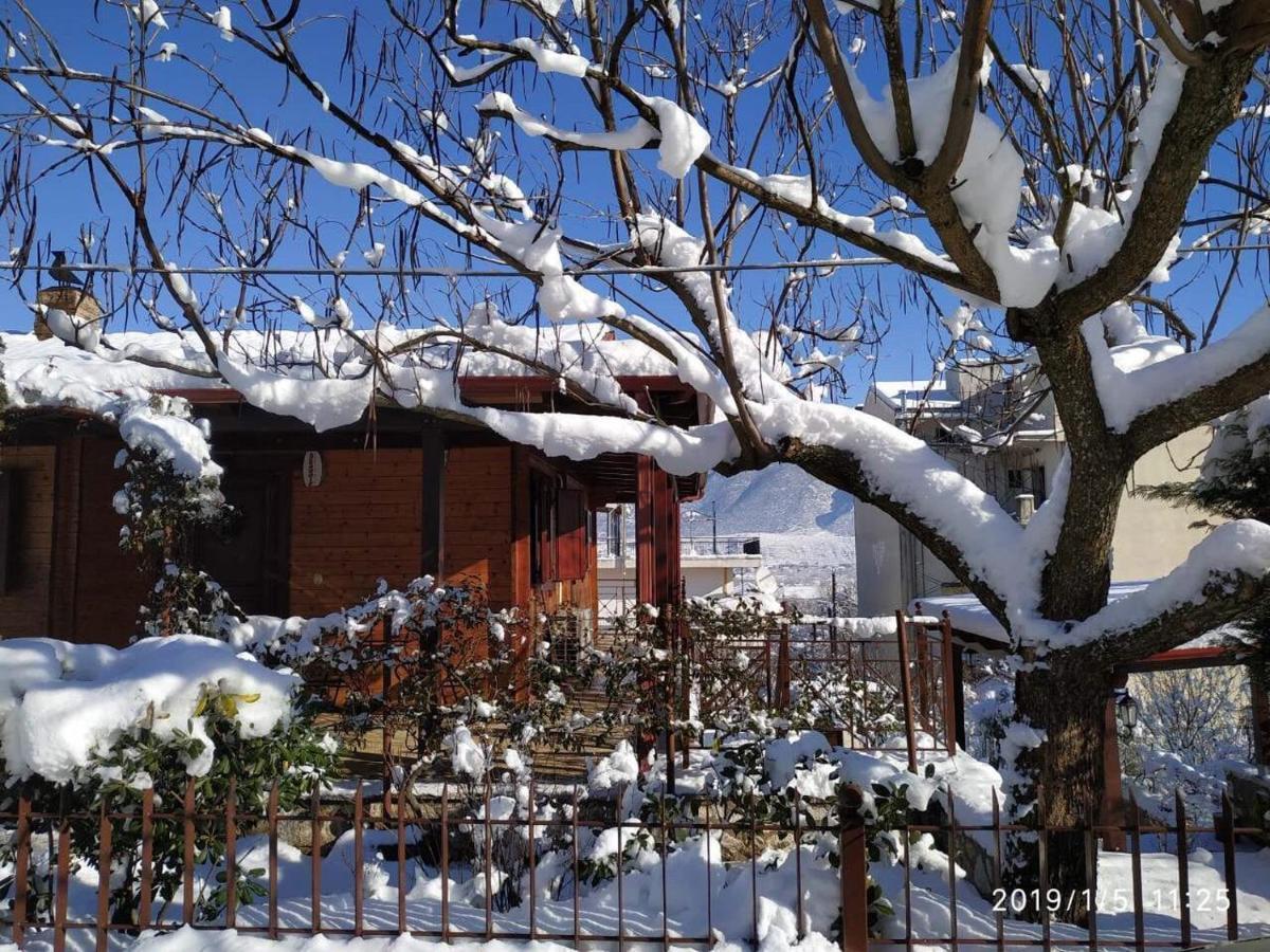 Appartamento Wooden House In Giannina Esterno foto